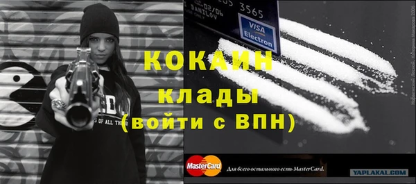 прущий лед Алзамай