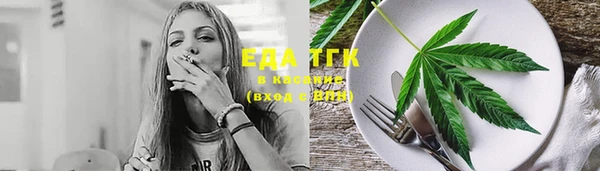 прущий лед Алзамай
