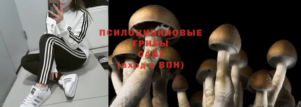прущие крисы Алексеевка