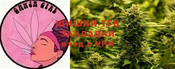 прущий лед Алзамай