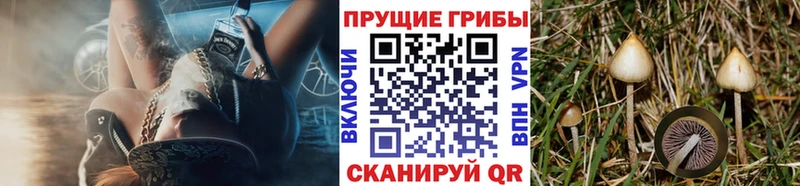 Галлюциногенные грибы ЛСД  Кувшиново 